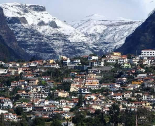 The Hill View House Villa Funchal  Exteriör bild